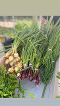 Bunchin’ onions