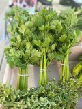 Celery