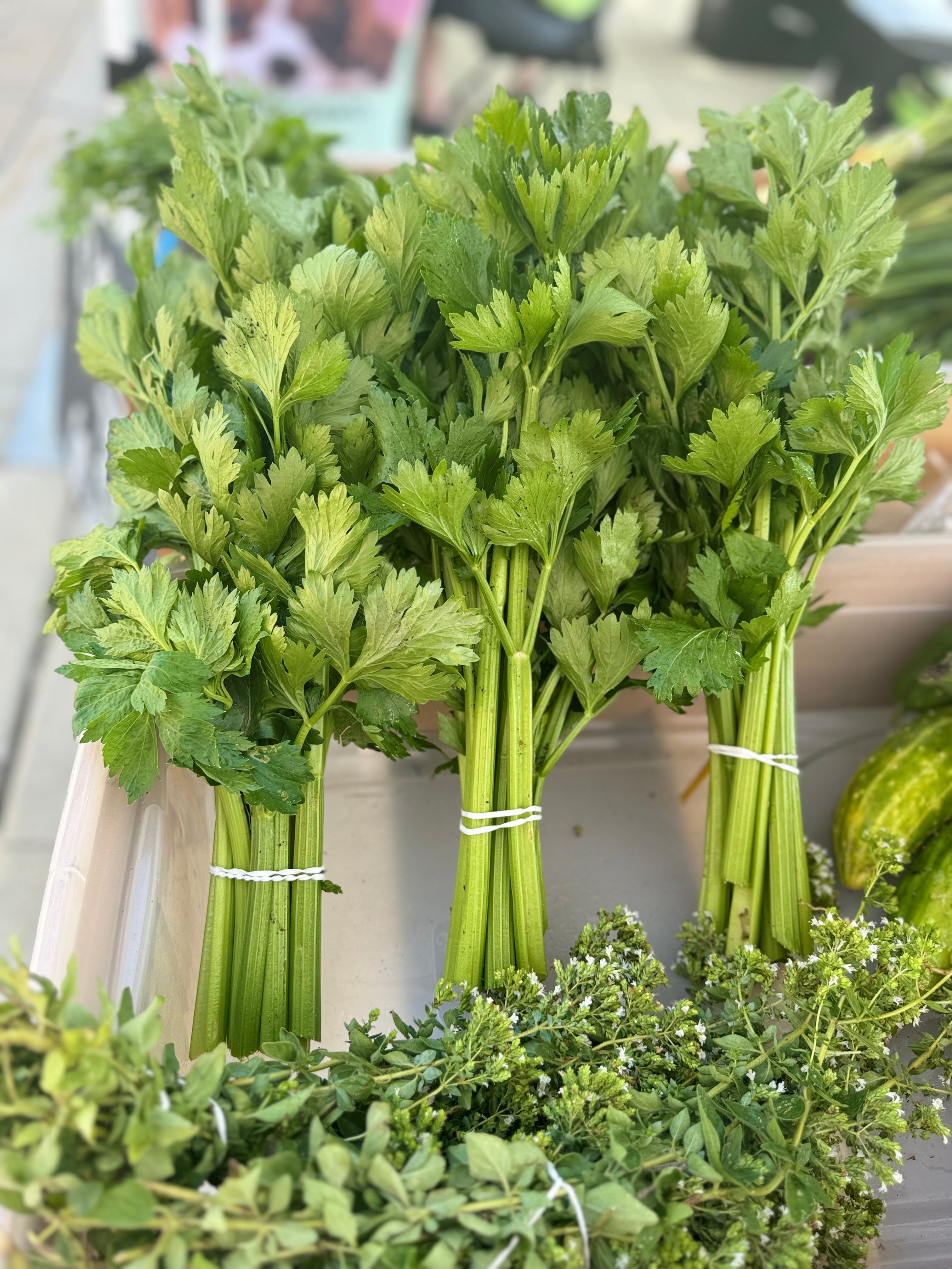 Celery