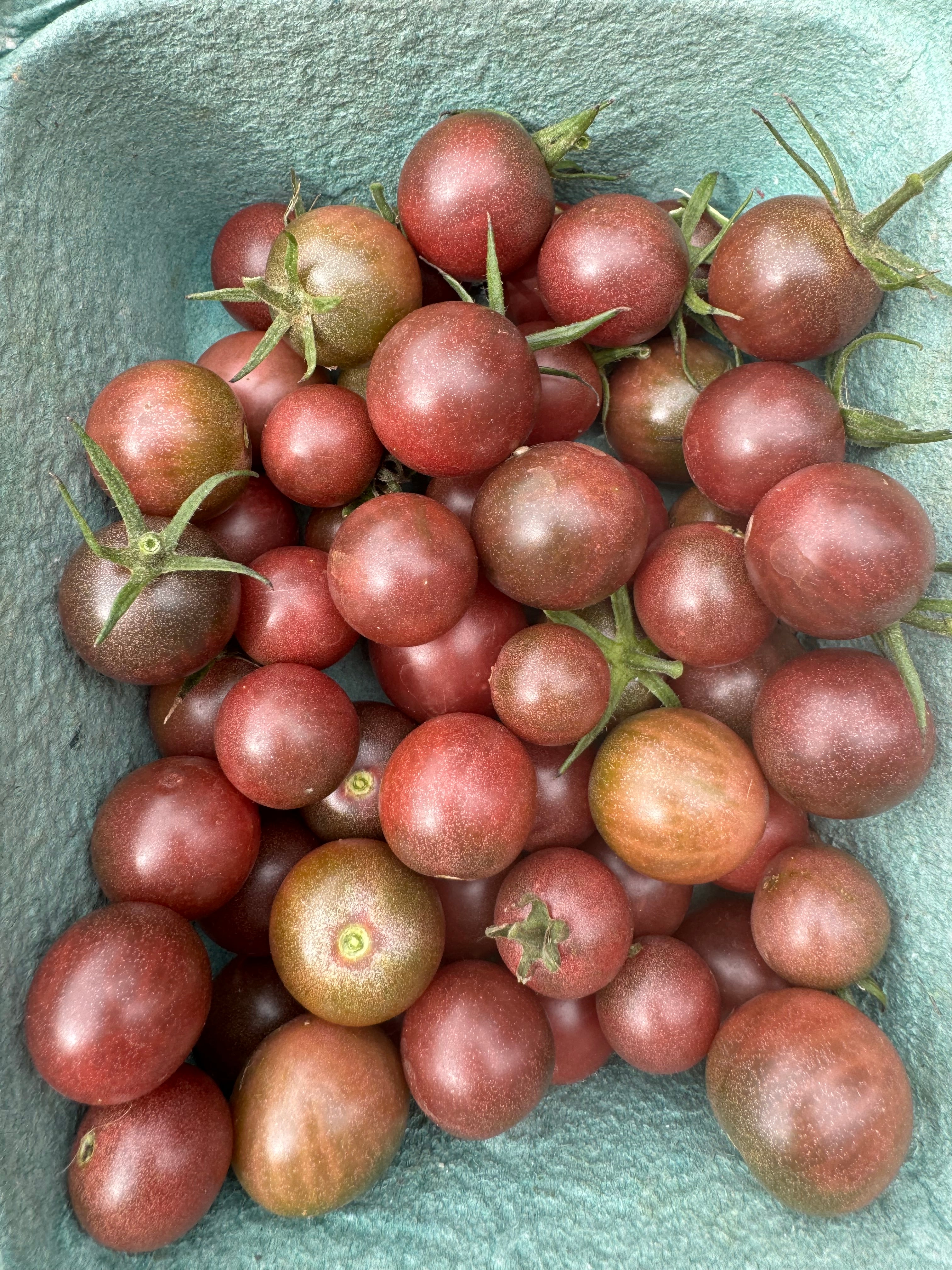 Black cherry tomatoes