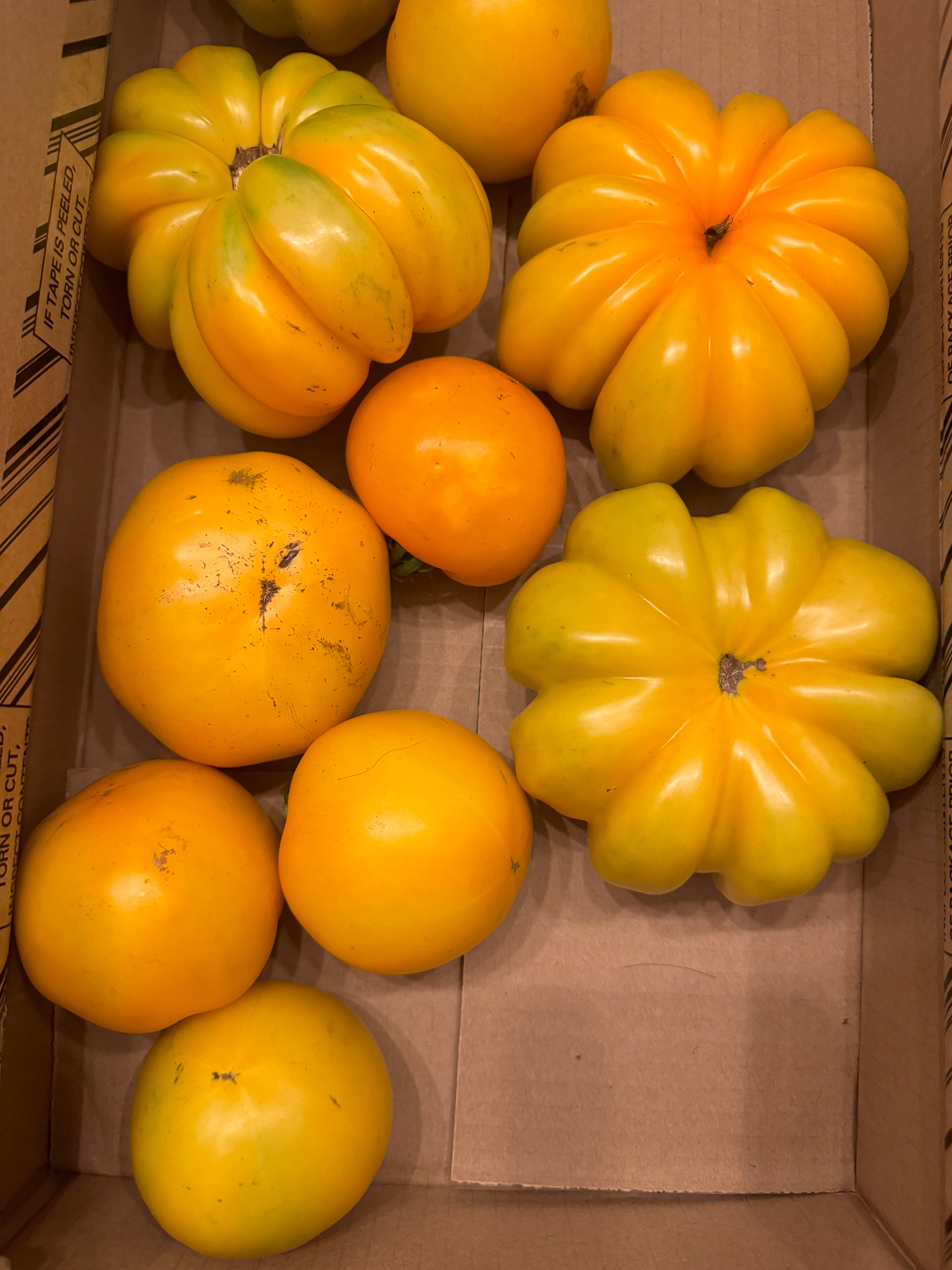 Tomato bunch