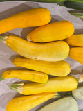 Squash - large