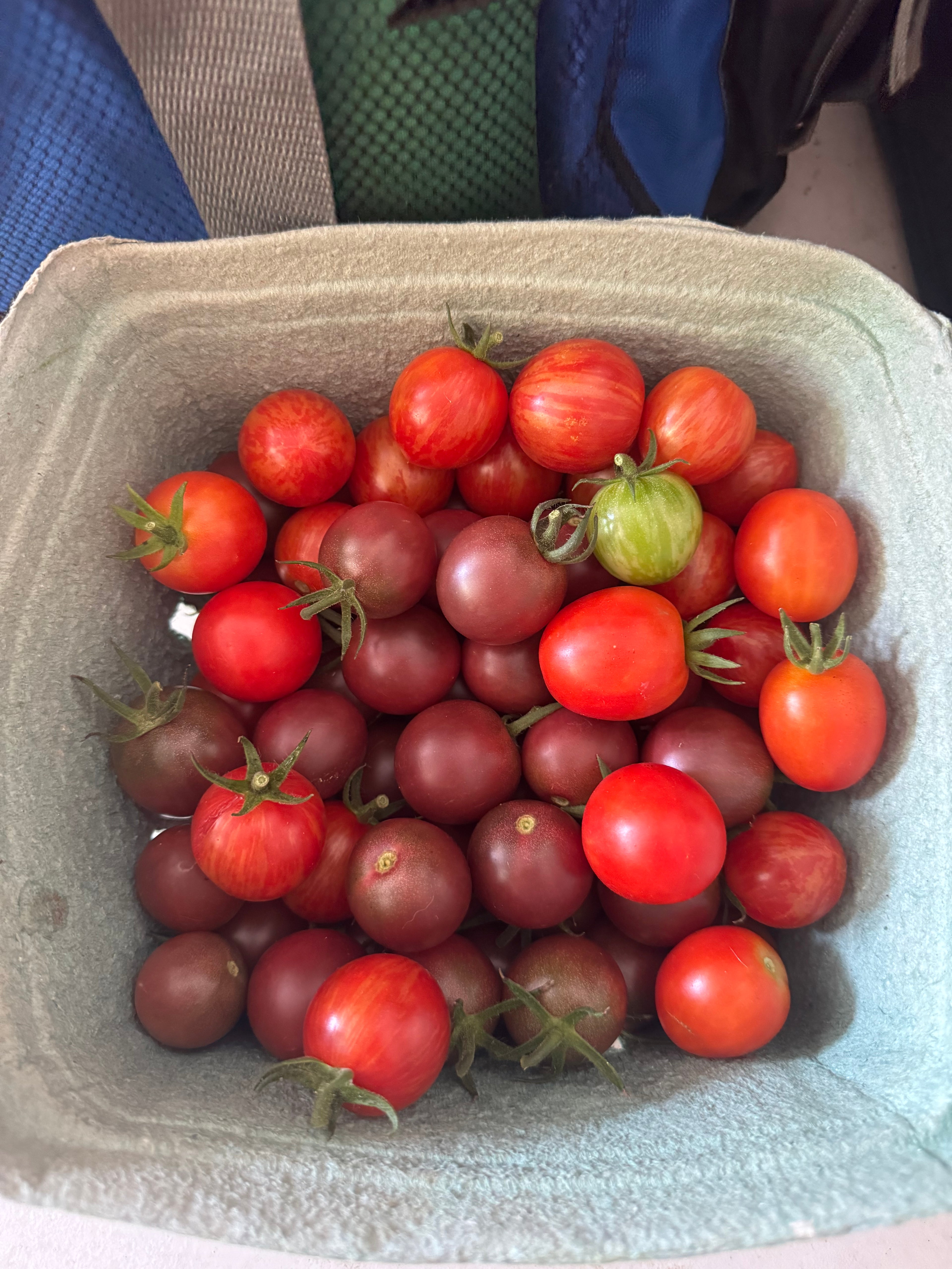 Cherry tomatoes