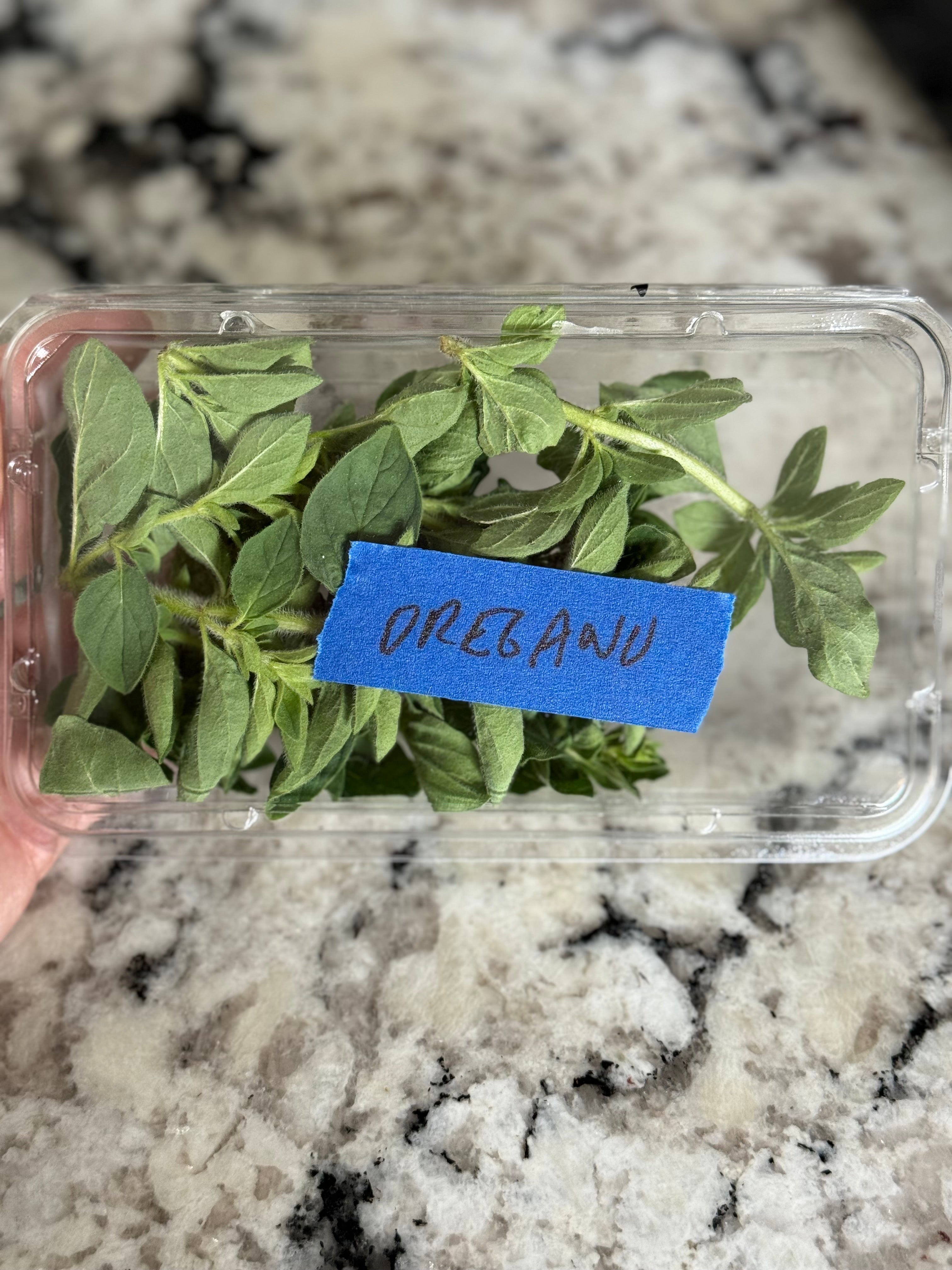 Oregano