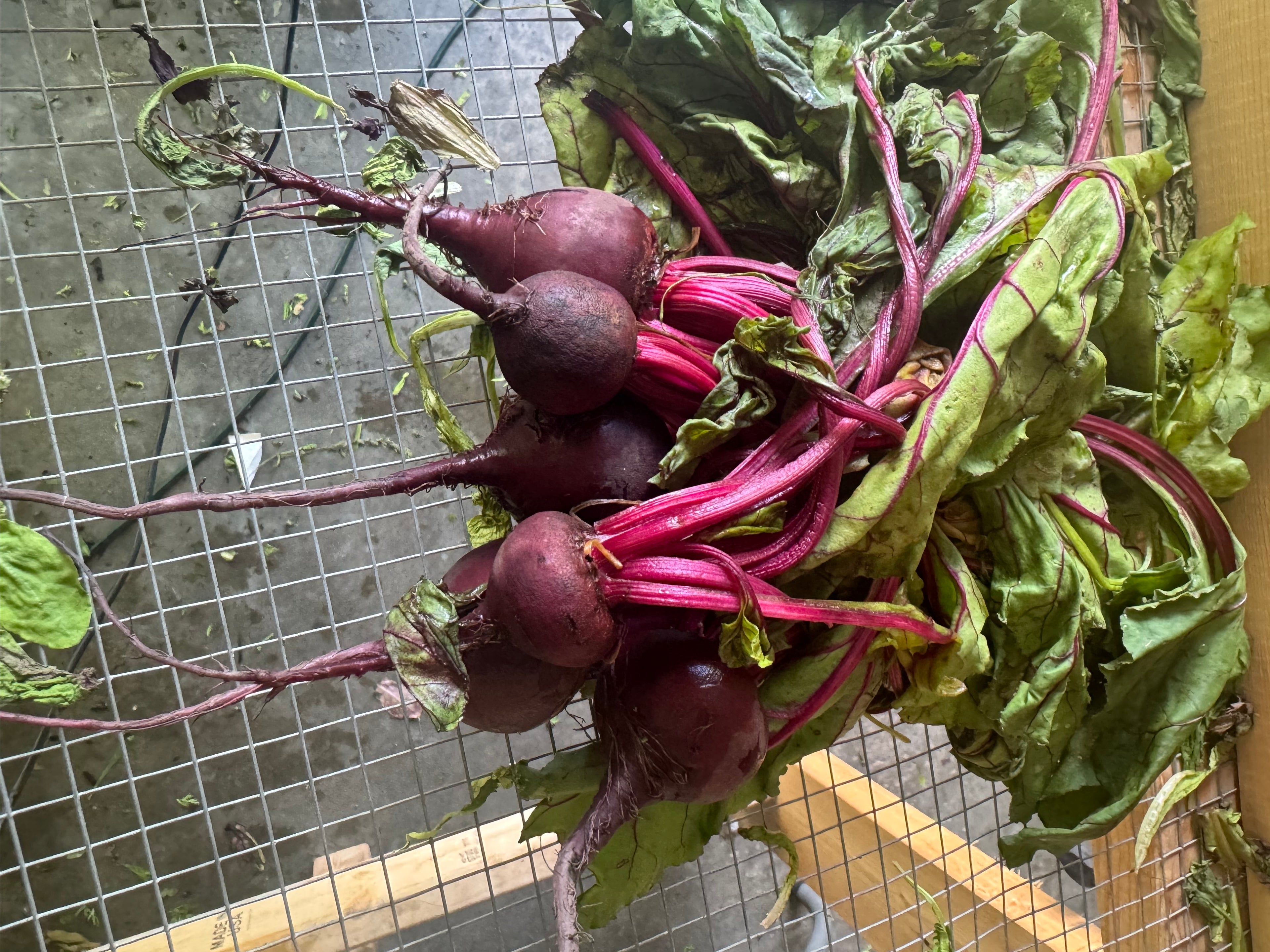Beets
