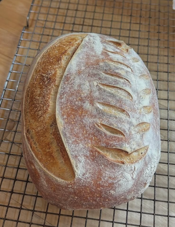 Sourdough loaf