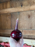Purple onion