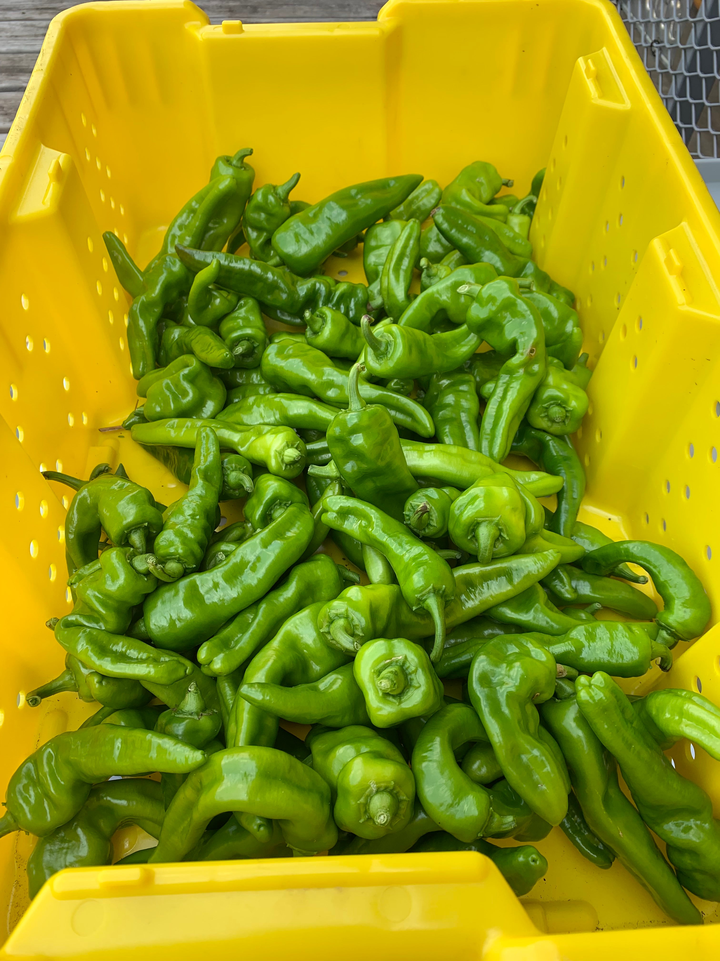 Sweet peppers