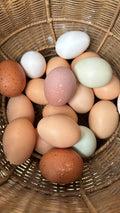 Free range, organic eggs
