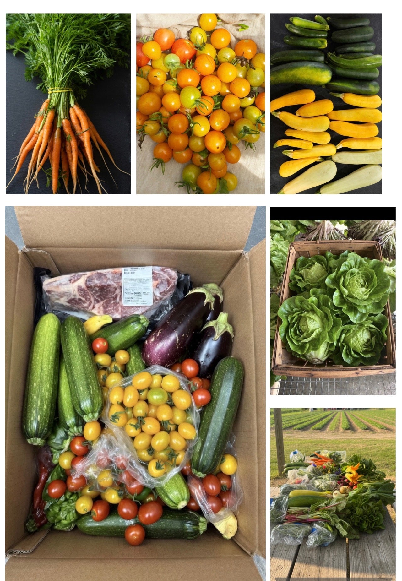 Csa box